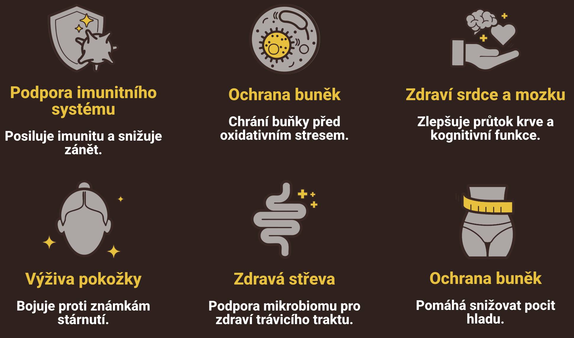 cacaoastax info